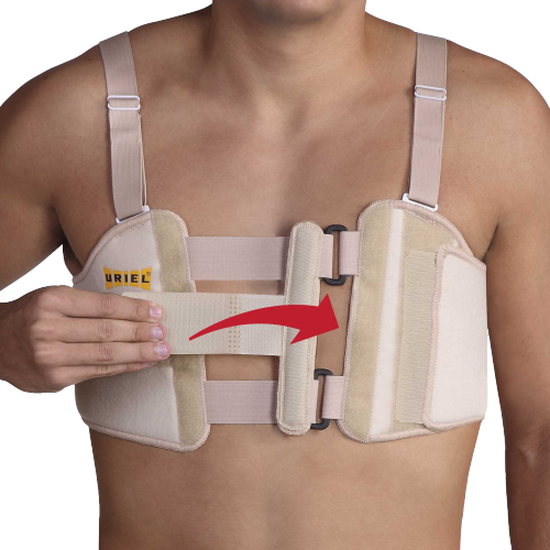 חגורה מתהדקת\מתכווננת (STERNUM) | מידה אוניברסלית ONE SIZE אוריאל | URIEL