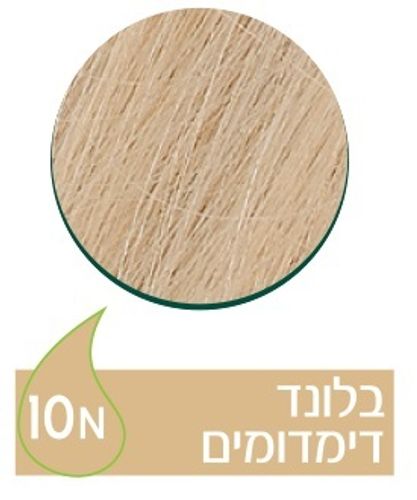 נטורטינט | צבע שיער קבוע | 10N בלונד דימדומים | מכיל 165 מ