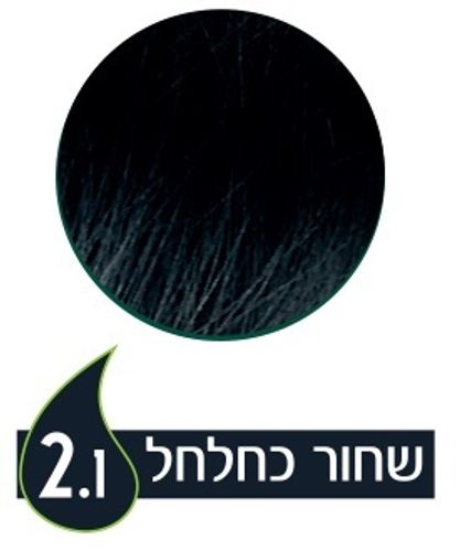 נטורטינט | צבע שיער קבוע | 2.1 שחור כחלחל | מכיל 165 מ