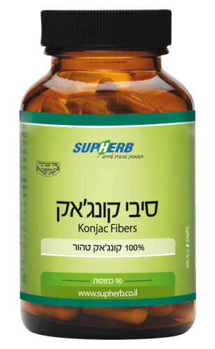 סיבי קונג