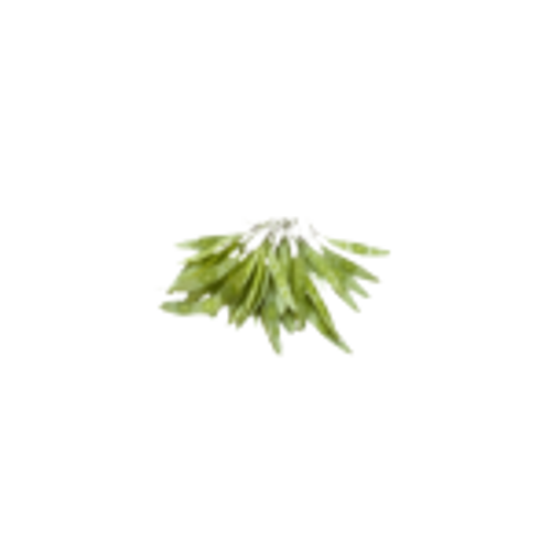 שמן אתרי רוזווד | 10 מ