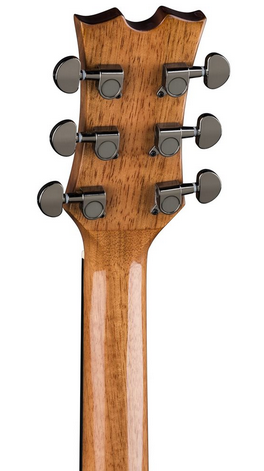 גיטרה אקוסטית AX PDY GN PK Dean Guitars SH