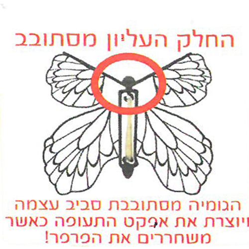 12 יצירה פרפר מתעופף