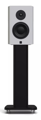 Morel Avyra 622