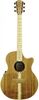 גיטרה אקוסטית מוגברת COLE CLARK CCAN2EC-BLBLSB