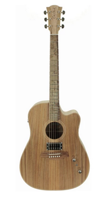  גיטרה אקוסטית FL2EC Blackwood Humbucker 