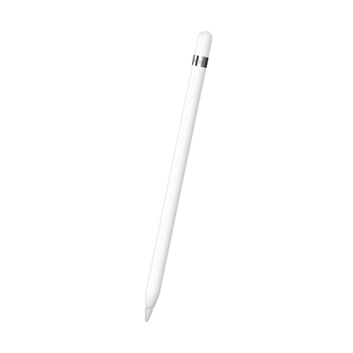 עט Apple Pencil USB-C (1st Generation) דגם MUWA3ZM/A, שנה אחריות ע