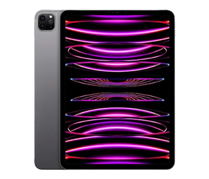 אייפד Apple iPad Pro 2022 11