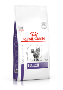 רויאל קנין Royal canin לחתול-דנטל 3 ק"ג
