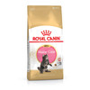 רויאל קנין Royal canin לחתול -קיטן מיינקון - 4 ק"ג