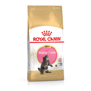 רויאל קנין Royal canin לחתול -קיטן מיינקון - 4 ק"ג