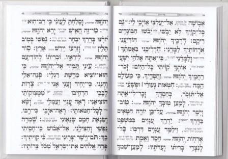סליחות-כוונת הלב כריכה קשה סקאי (L)