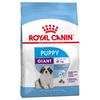 רויאל קנין Royal canin לכלב-ג'יאנט פאפי- 15 ק"ג