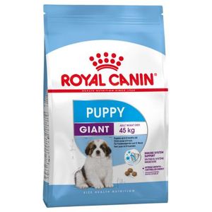 רויאל קנין Royal canin לכלב-ג'יאנט פאפי- 15 ק"ג
