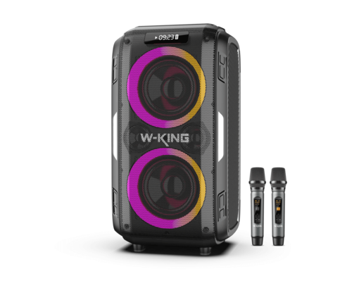 בידורית + 2 מיקרופונים W-KING T9 PRO 120W