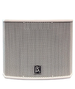 סאב מוגבר "10 EB110A 250W