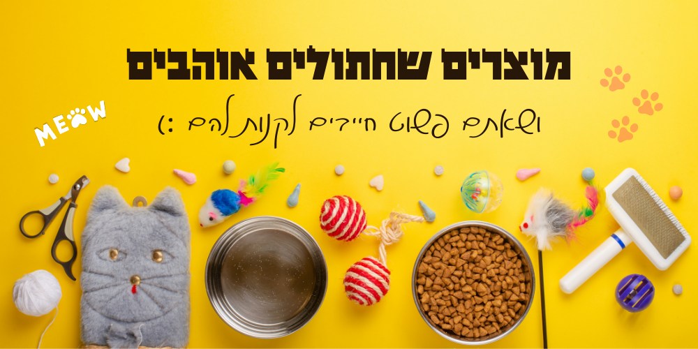 מוצרים שחתולים הכי אוהבים ושאתם חייבים לקנות עבורם