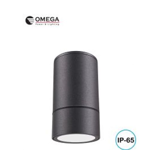 צילינדר מוגן מים קטן אפור Omega