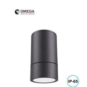 צילינדר מוגן מים קטן אפור Omega