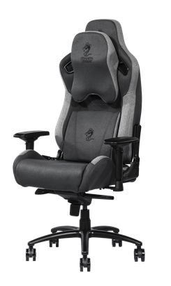 כיסא גיימינג DRAGON GT SPORT DELUX אפור כהה – מבט צד