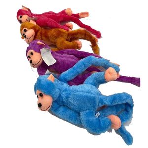 קוף מחבק קוף נתלה
