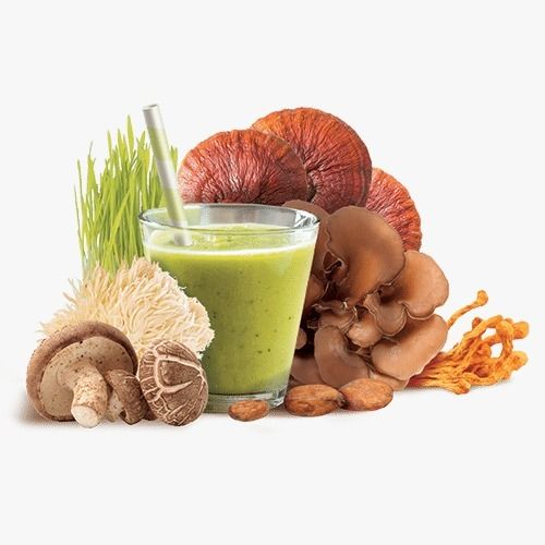 אבקת פורמולת גרין שייק GREEN SHAKE FORMULA | לניקוי ותחזוקה חיונית | מכיל 100 גרם אבקת פטריות וצמחים אורגנית | ברא צמחים | BARA