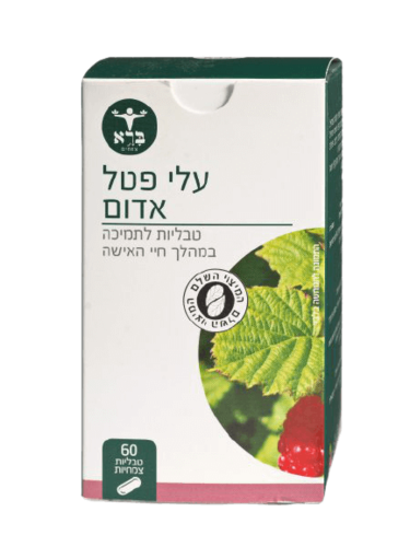 עלי פטל אדום | המיצוי השלם | מכיל 60 טבליות צמחיות | תוסף תזונה | כשר | ברא צמחים | BARA