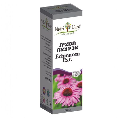 אכינצאה - תמצית
