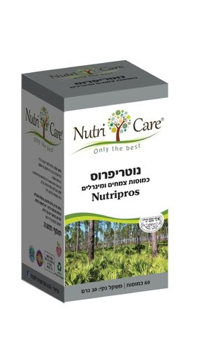 נוטריפרוס