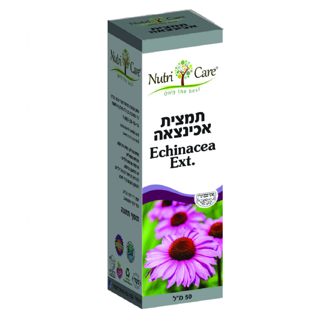 אכינצאה - תמצית