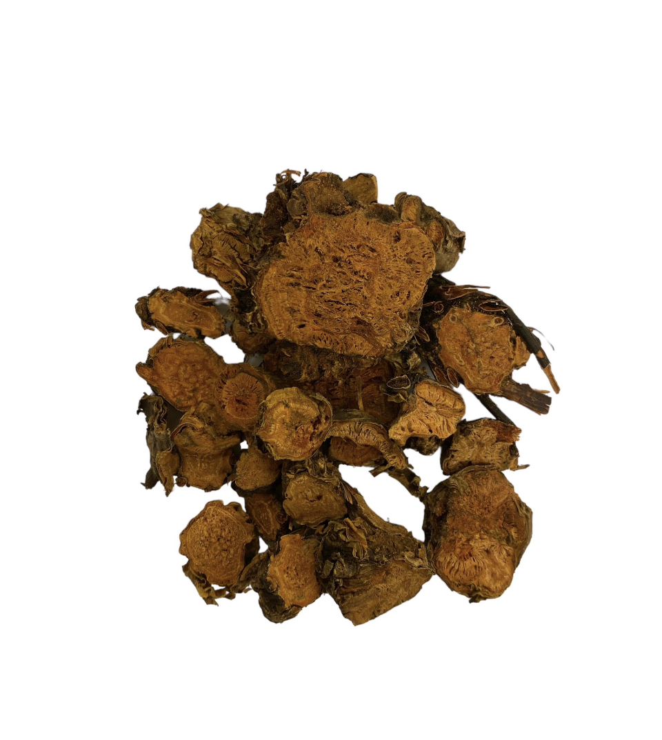 שורש רודיולה