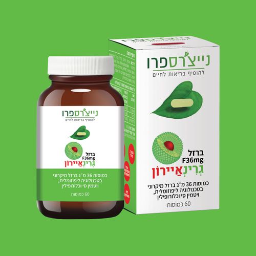 גרינאיירון | GreenIron‭