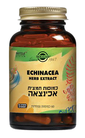אכינצאה  תמצית  מכיל 60 כמוסות צמחיות  מתאים לצמחונים וטבעונים  תוסף תזונה סולגאר  Solgar סולגאר | Solgar