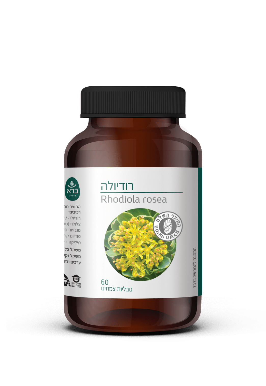 טבליות רודיולה | Rhodiola rosea