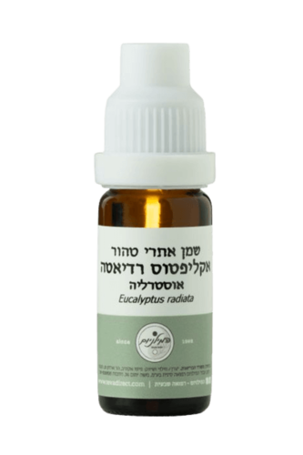 שמן אתרי טהור אקליפטוס רדיאטה | 100 מ"ל | המילניום