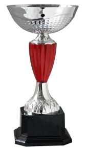 גביע כסף איכותי גובה 24.5 ס