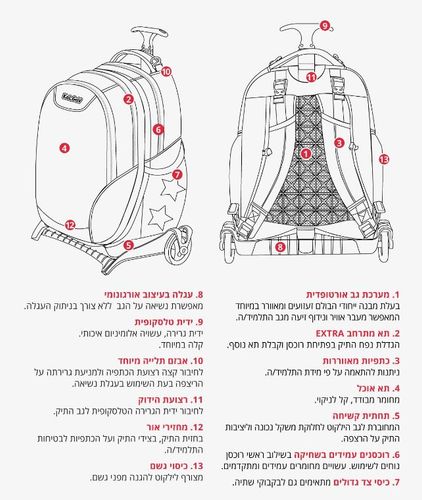 סט לכיתה א’ טי רקס כחול כהה 