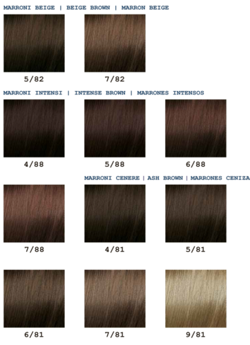 צבע אלגון 125 מייל ELGON Moda & Styling