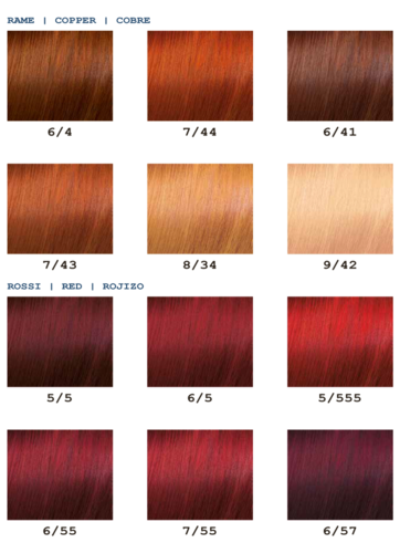 צבע אלגון 125 מייל ELGON Moda & Styling
