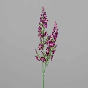  פרח שעווה לילך 60 ס"מ Wax flower