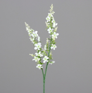  פרח שעווה קרם 60 ס"מ Wax flower