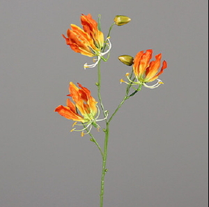   ענף גלוריה כתום 3 ראשים 76 ס"מ Gloriosa