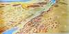 מפת תבליט ישראל דרום Southern Israel Map
