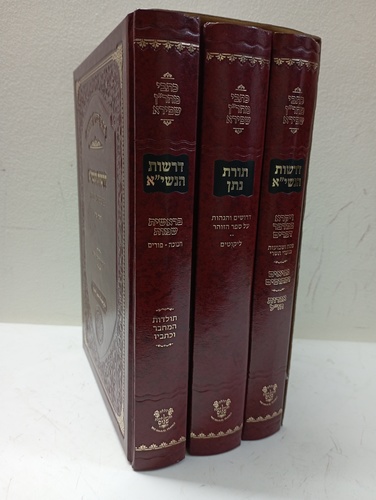 דרשות הנשי