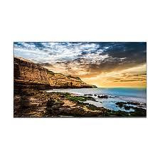 מסך שילוט מקצועי Samsung QE43T 43 16/7