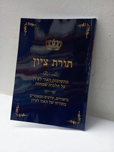 תורת ציון חלק ו שמחות ר