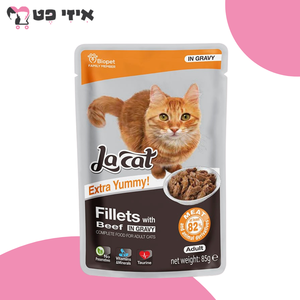 פאוץ