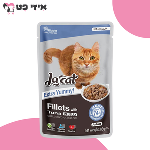 פאוץ