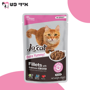 פאוץ