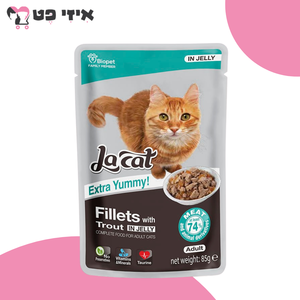 פאוץ
